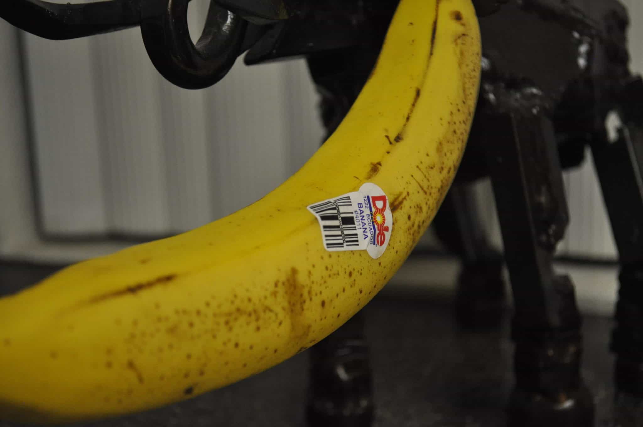 7 Super Foods That Help You Sleep Sleepopolis