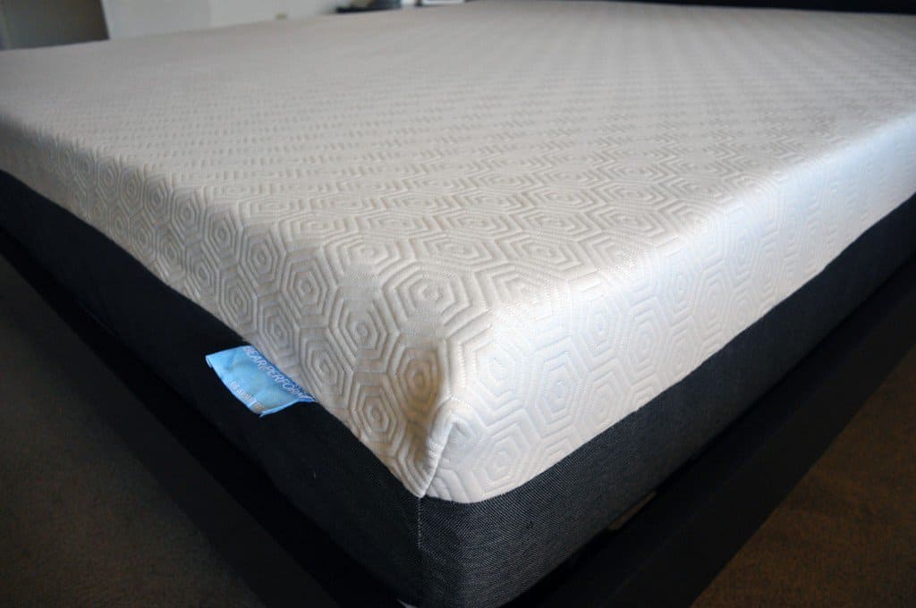 Bear mattress cover close up