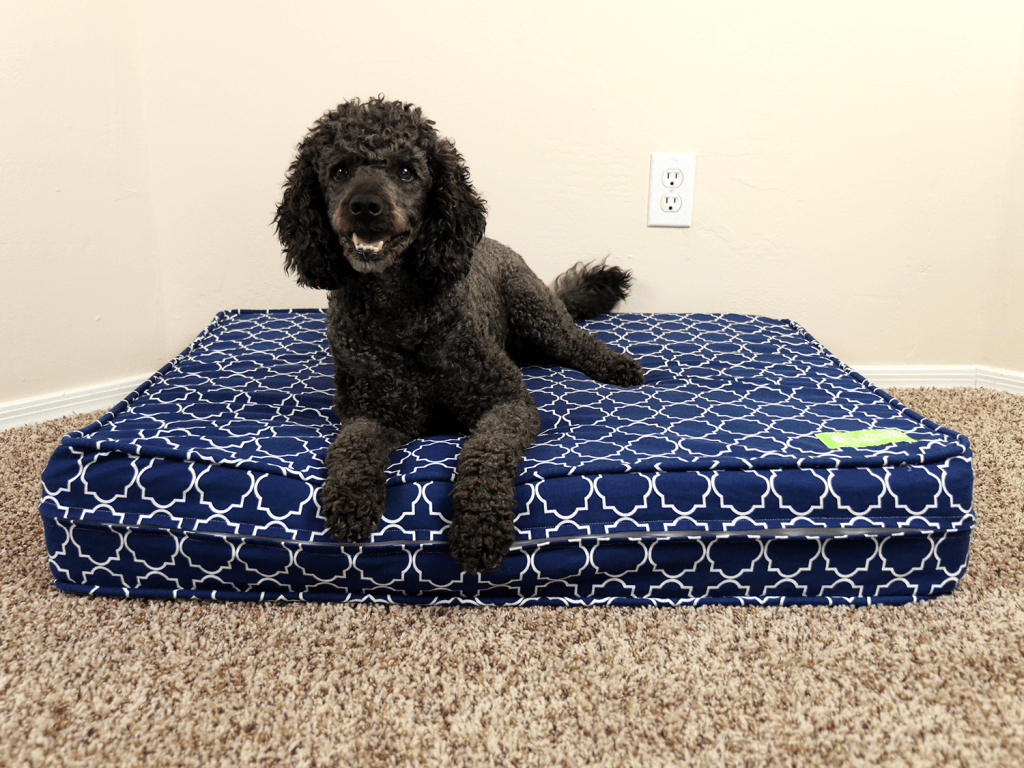 eluxurysupply dog bed tibbers 1