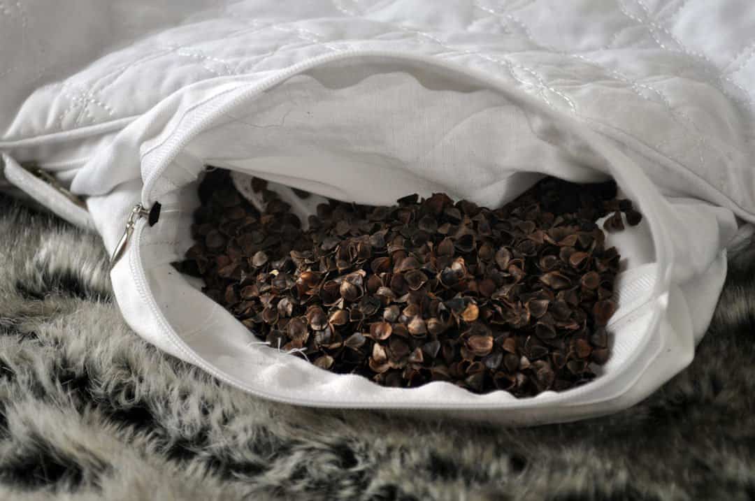 buckwheat pillow