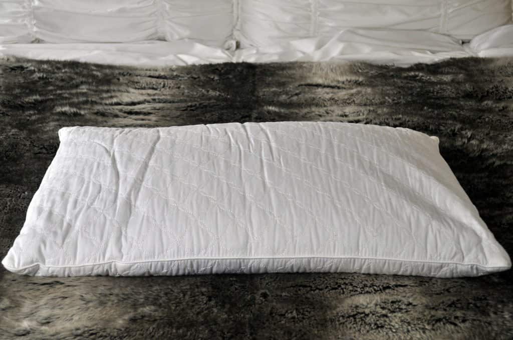 QBedding Buckwheat pillow review