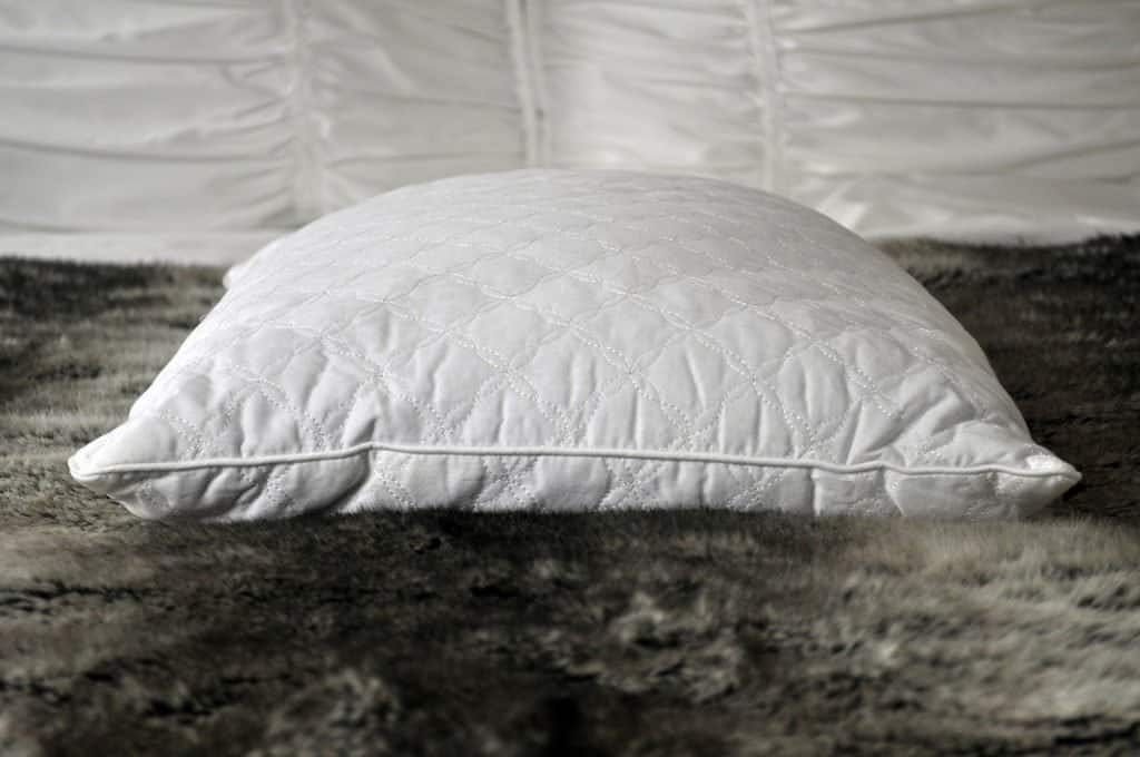 QBedding buckwheat pillow