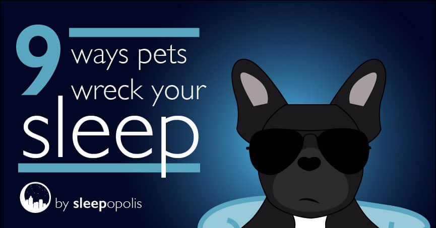 9 ways pets wreck your sleep