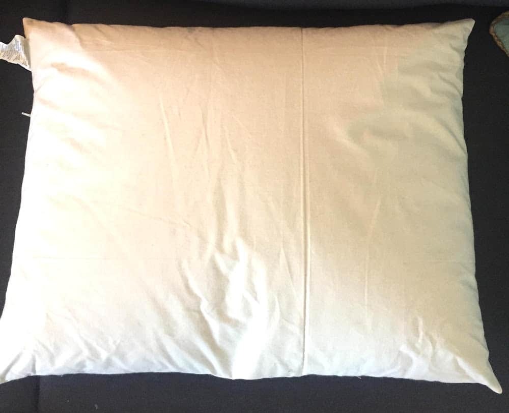 Beans72 Organic Buckwheat Pillow Review 