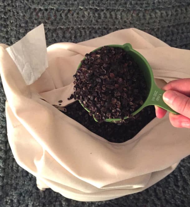 Do buckwheat pillows attract bugs? Sleepopolis