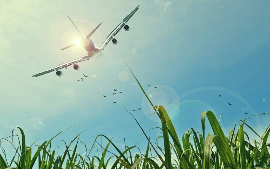Here’s Why You Shouldn’t Sleep Too Long on That Flight