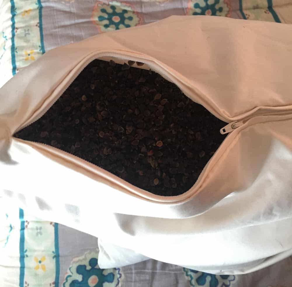 Diy millet outlet pillow