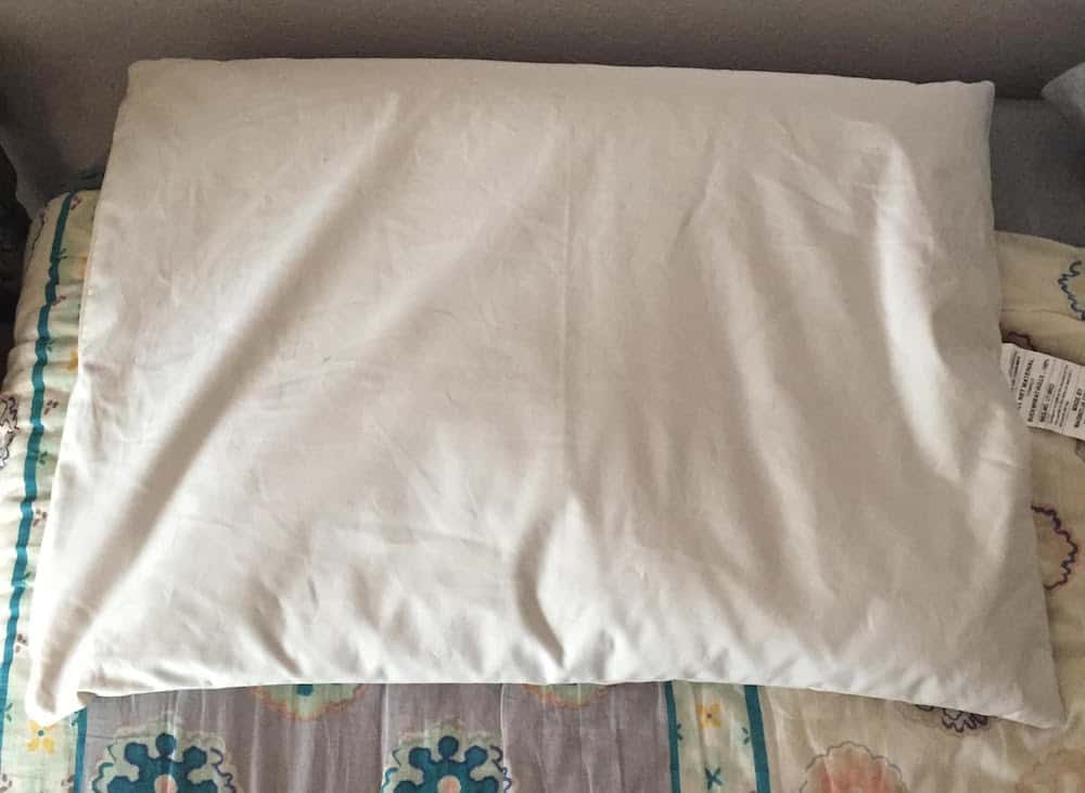 Magnolia Organics Buckwheat Pillow Review