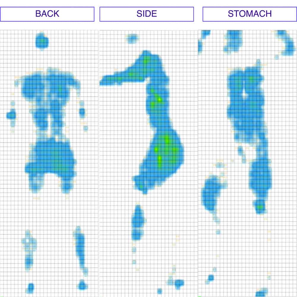 Naturepedic EOS Classic Pressure Map