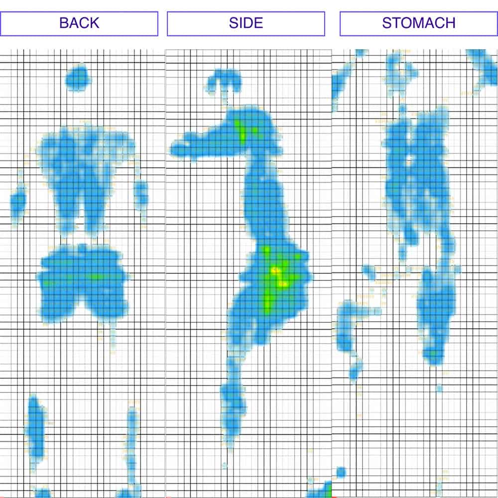 Ameena Mattress Pressure Map