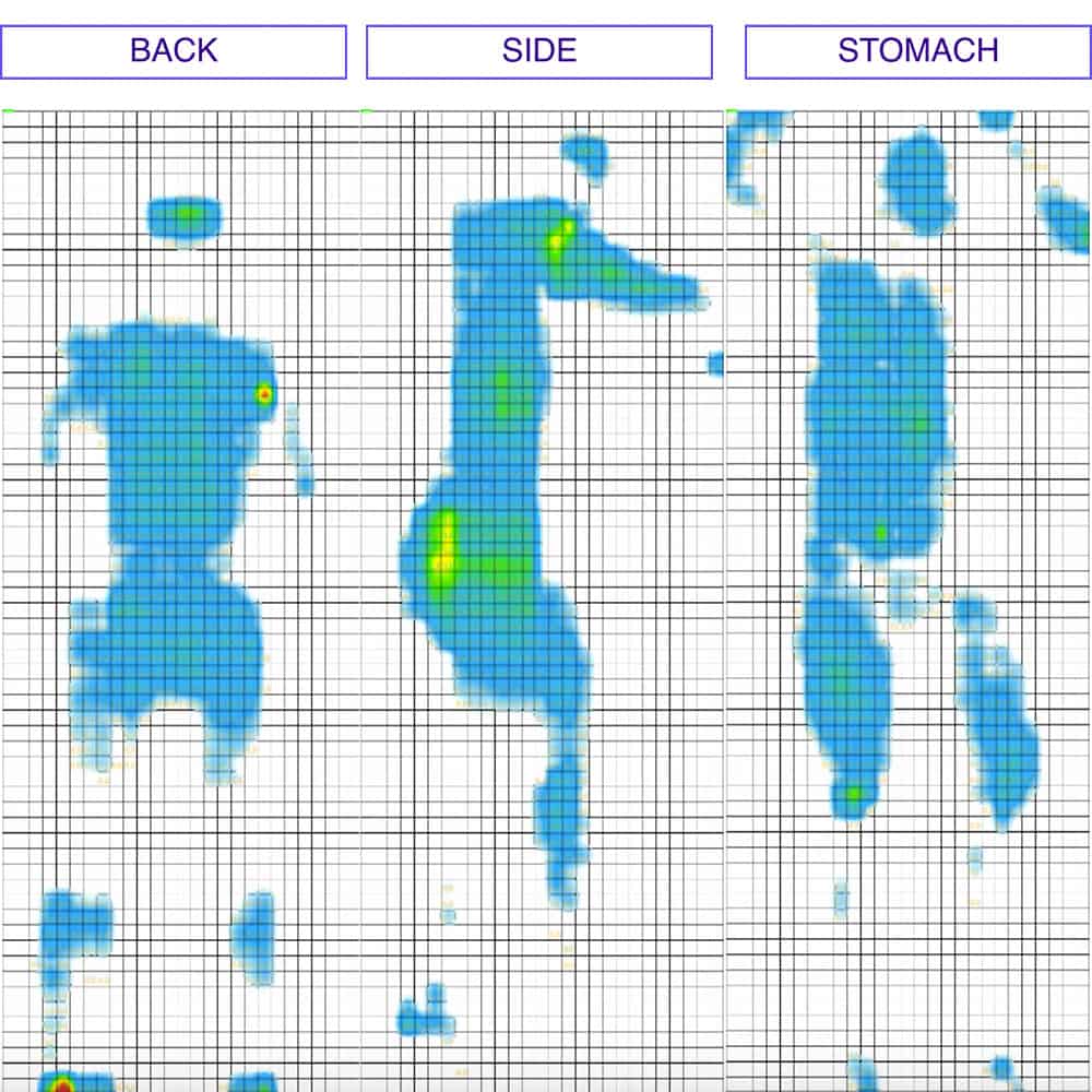 Zenhaven Firm Pressure Map Test