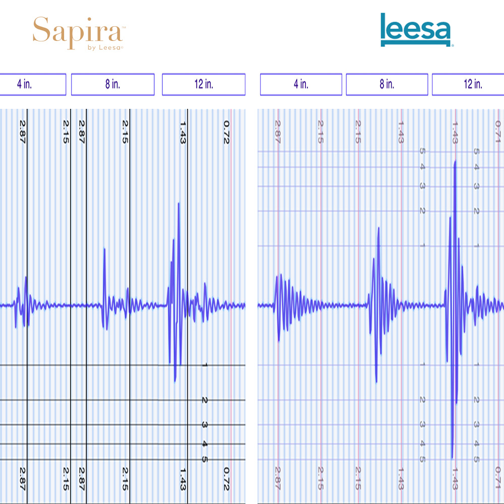Leesa vs Sapira Motion Transfer