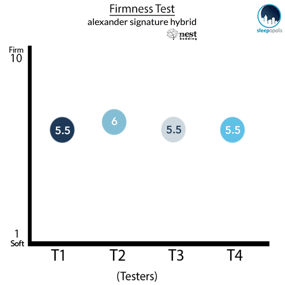 Nest Alexander Signature Hybrid Firmness