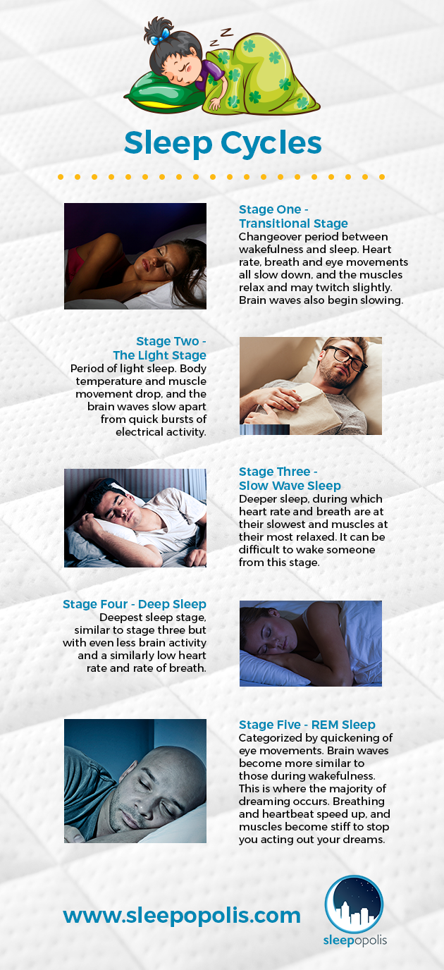 Stages of Sleep: What Happens in a Sleep Cycle