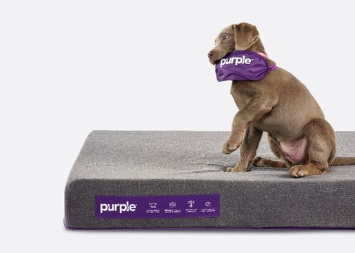Purple Debuts New Pet Bed
