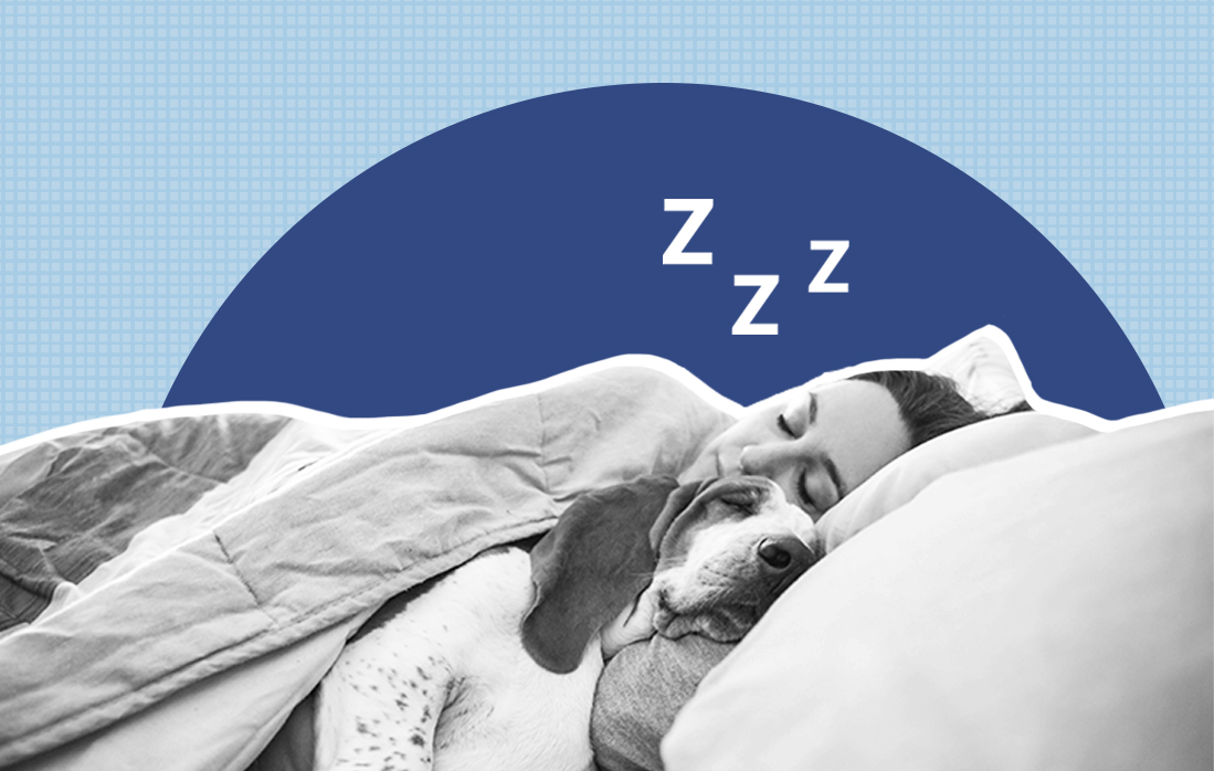 Should My Pet Sleep With Me? Ultimate Guide Sleepopolis