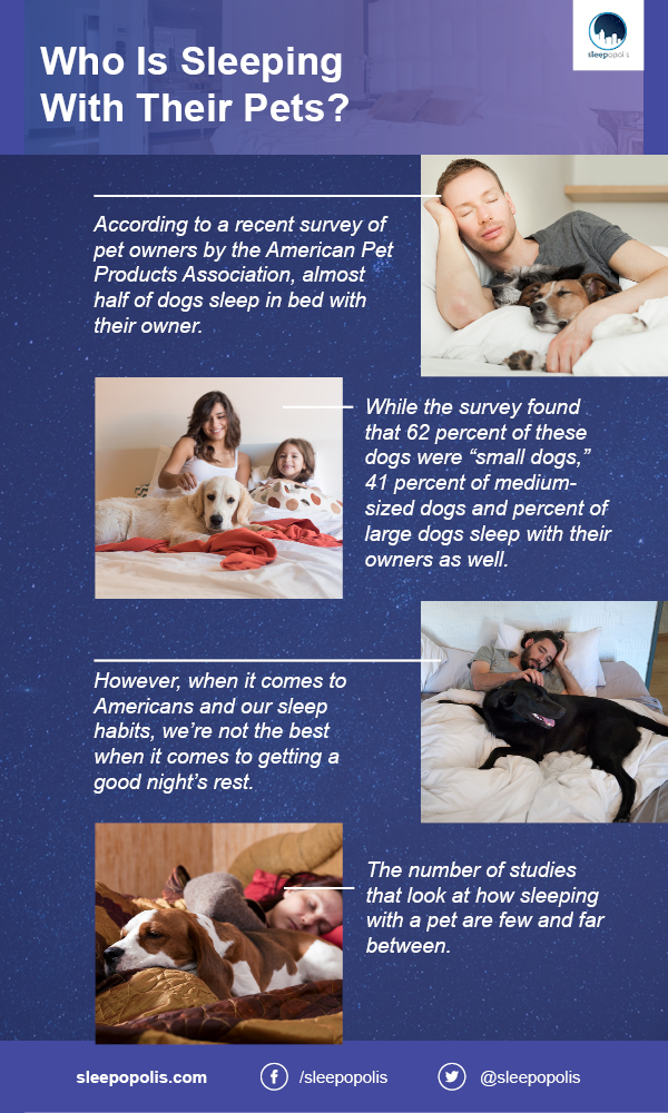 dogs sleeping in bed with owners