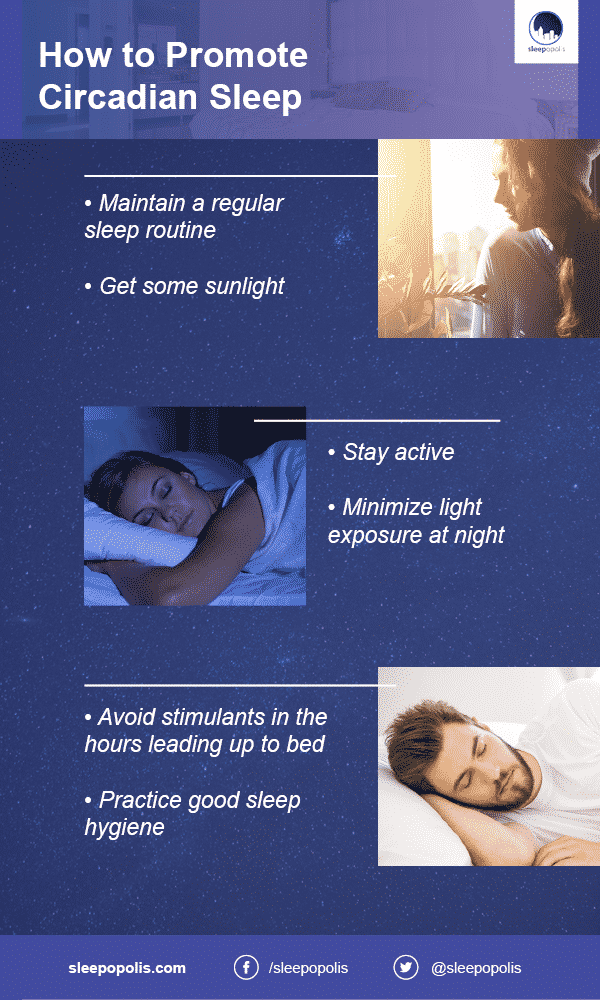 Infographic on promoting Circadian Sleep