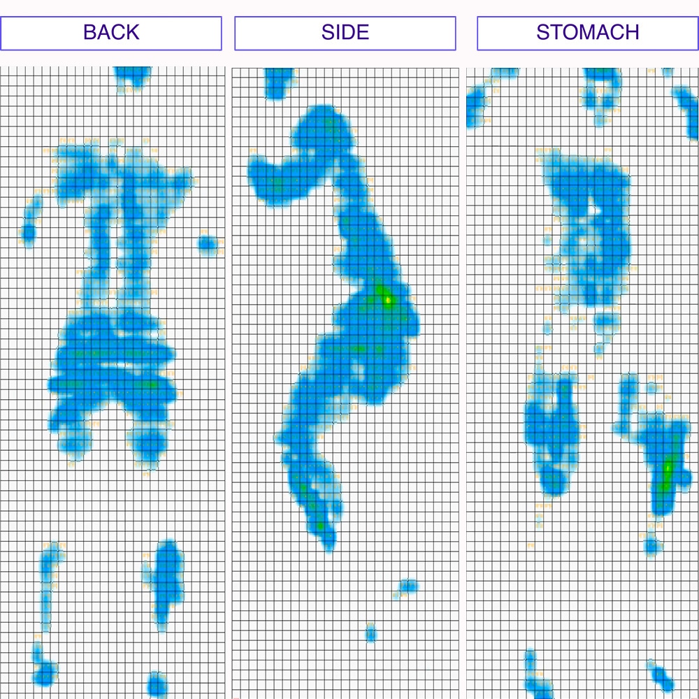 Sealy Hybrid Essential Pressure Map