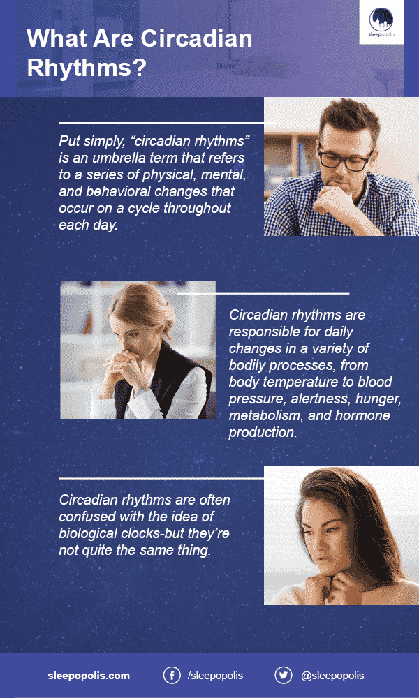 An infographic about Circadian Rhythms
