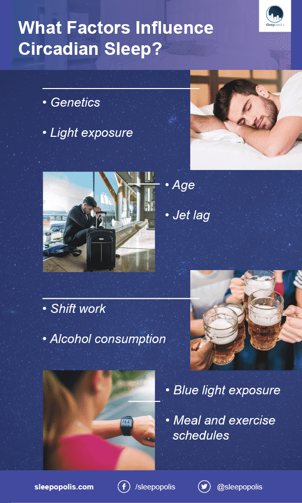 An infographic outlining factors related to Circadian Rhythms
