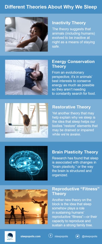 Why We Sleep Plus What Happens In the Brain and Body When We Do 