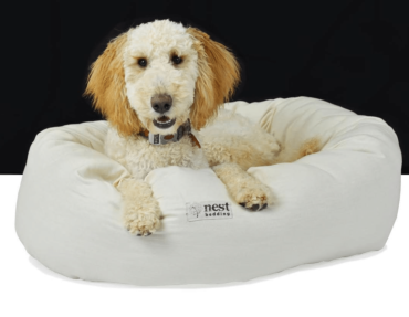 Nest Bedding Debuts New Line of Organic Dog Beds