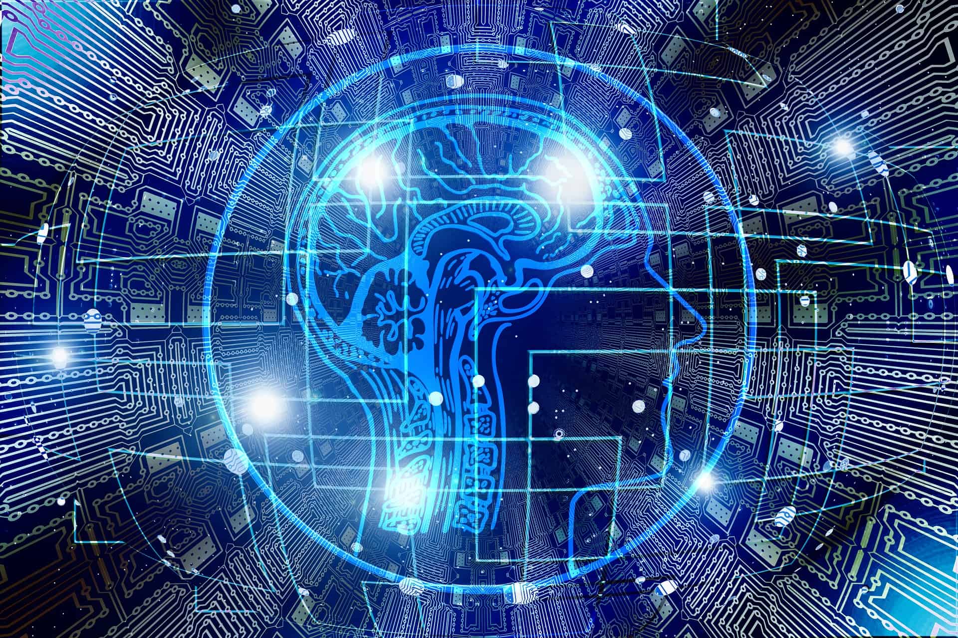 Nap On, Nap Off: Researchers Discover Brain’s “Sleep Switch” 