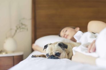 Sleeping With Your Pooch Could Ease Your Chronic Pain