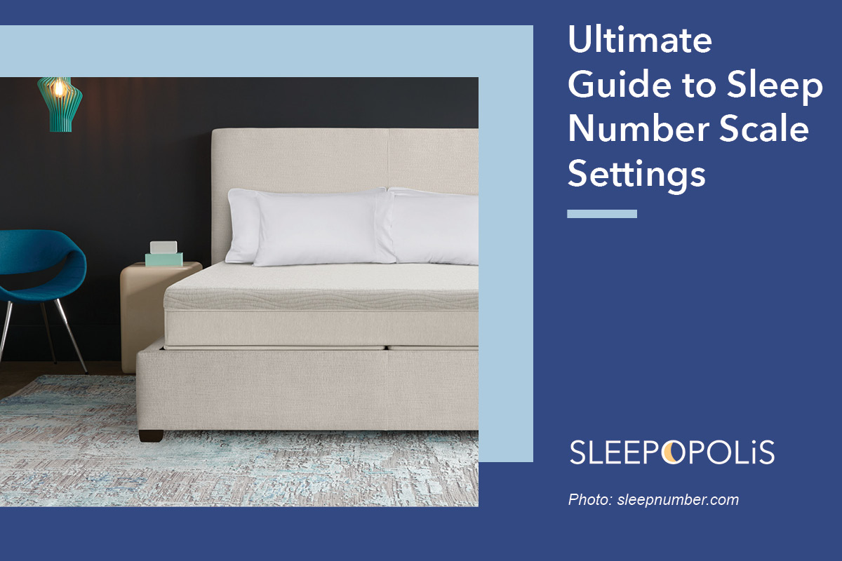 Sleep Number Scale Settings 2021 Ultimate Guide