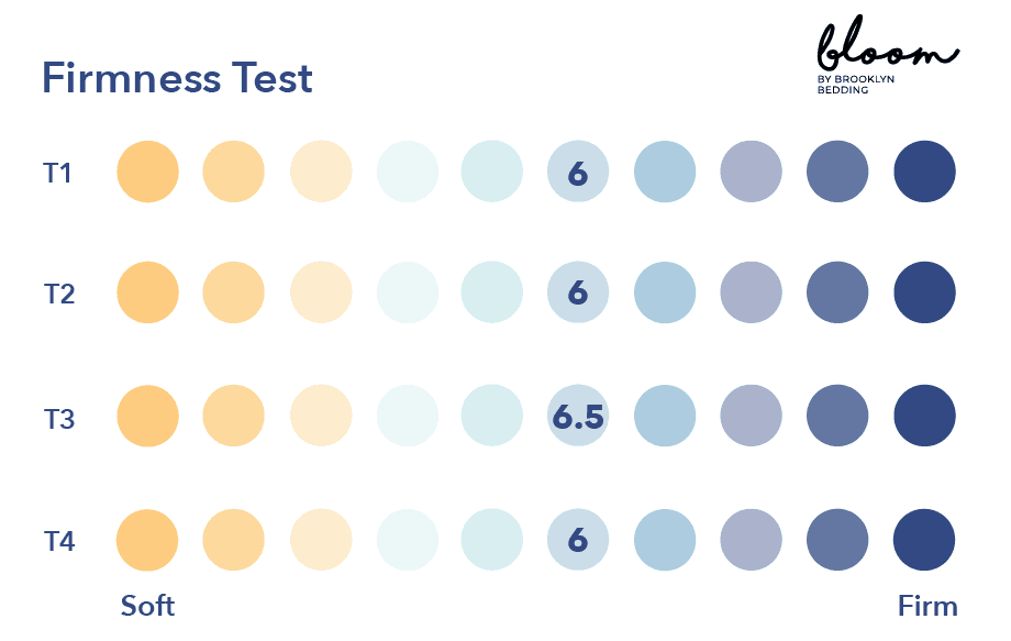 bloom hybrid vs idle mattress