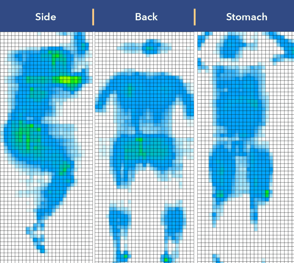 Layla 2019 Soft Pressure Map