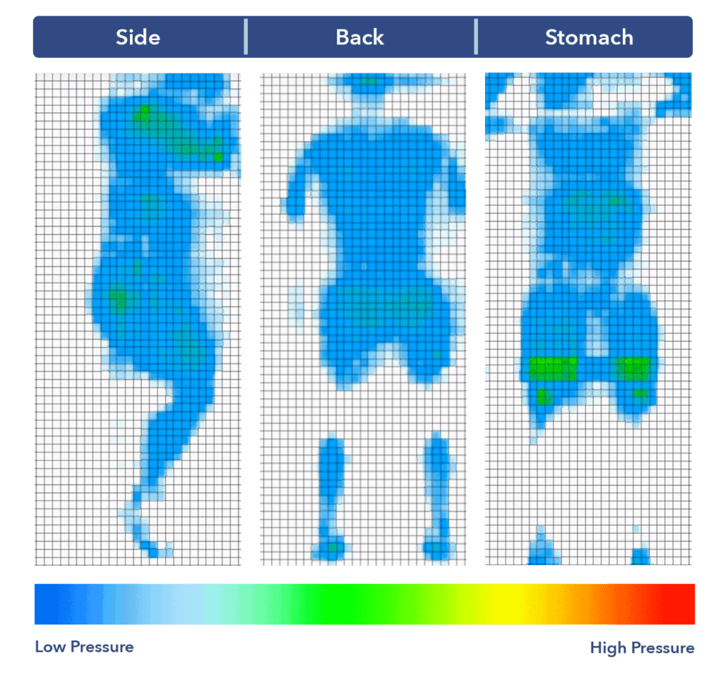 Level Sleep pressure map