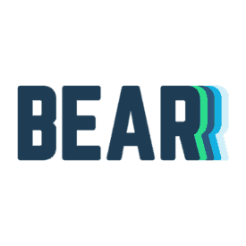 Bear Pillow Bear Pillow