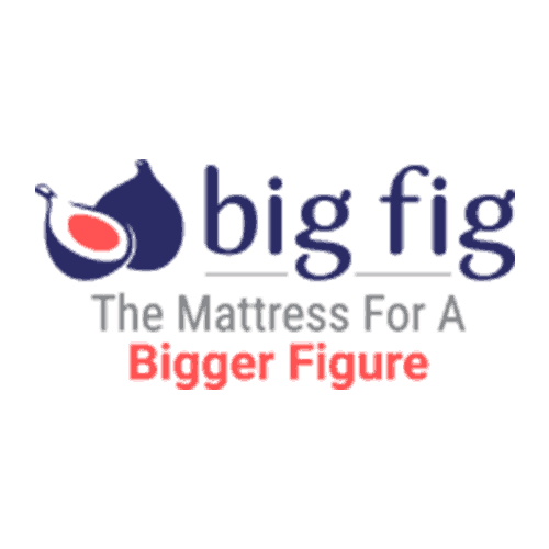 Big Fig Mattress