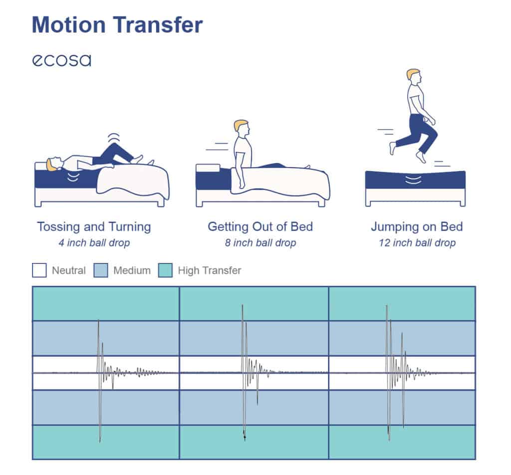 Ecosa Motion Transfer