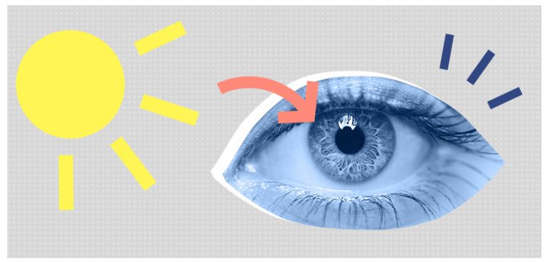 The Complete Guide To Circadian Rhythm | Sleepopolis