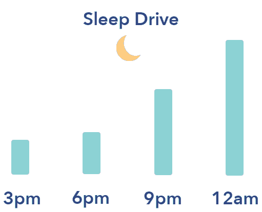 Stages Of Sleep Chart