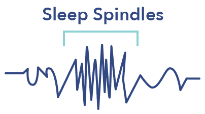 SO SleepStagesGraphics Spindles