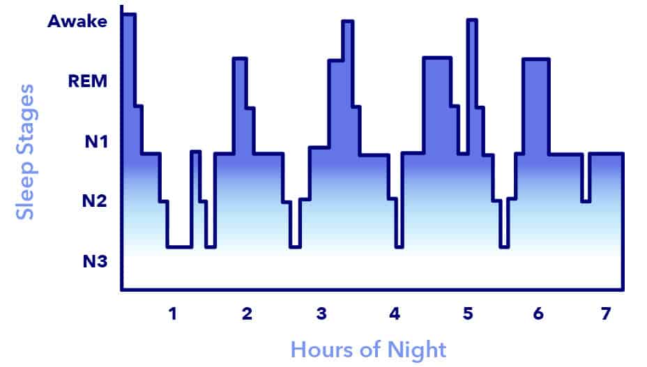 Stages of Sleep: What Happens in a Sleep Cycle