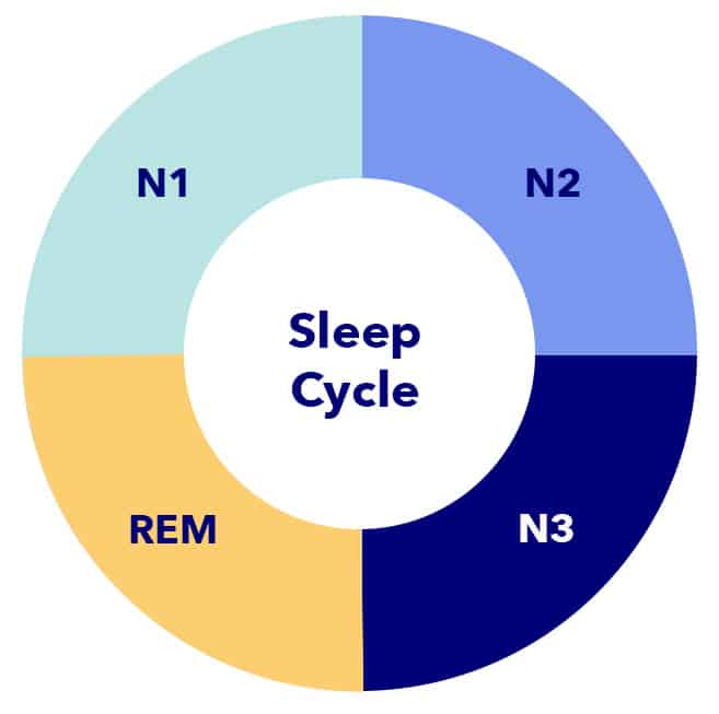  The Deepest Stage Of Sleep Is Sleep Stages Of Sleep 