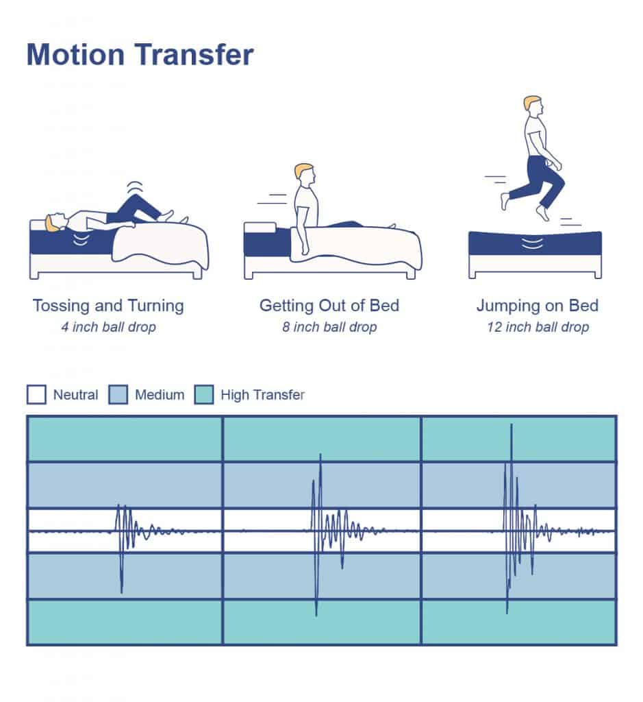 Brunswick Motion Transfer