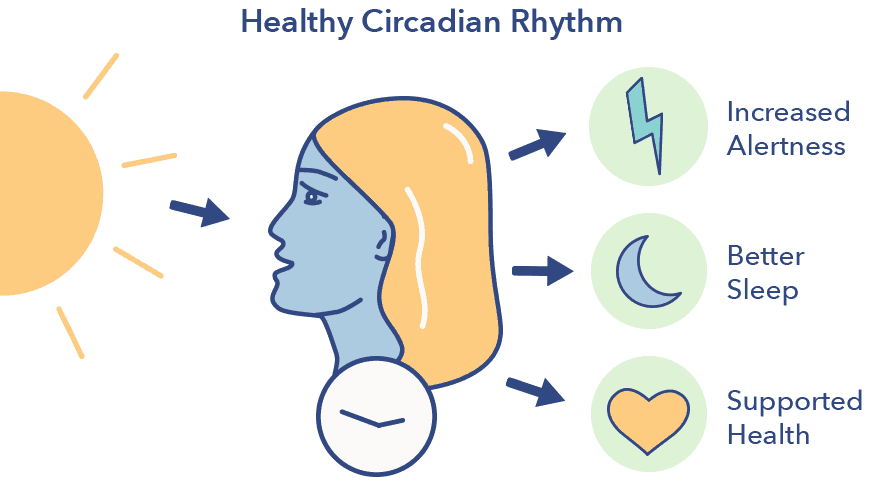 Circadian Rhythm A Key To Health Fit2goasia 