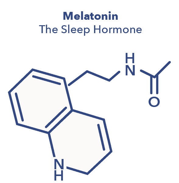 Melatonin Graphic 