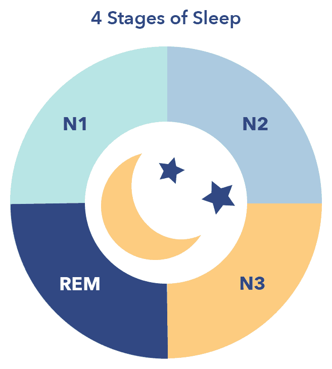 stages of nrem