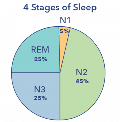 N3: Slow Wave Sleep | Sleepopolis