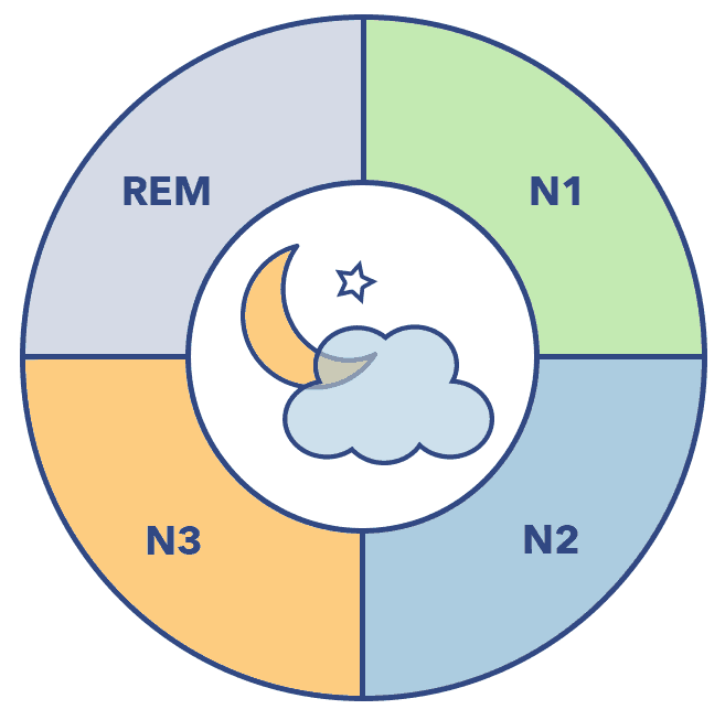 SO SleepStagesGraphics2 SleepCycle