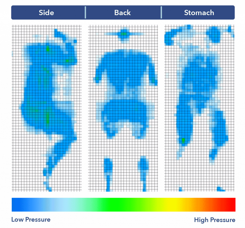 Tempur-Pedic LuxeAdapt mattress pressure map