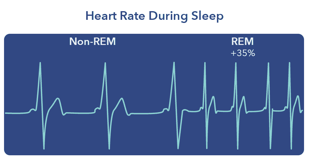 Heart Rate Variability and Sleep - Amerisleep