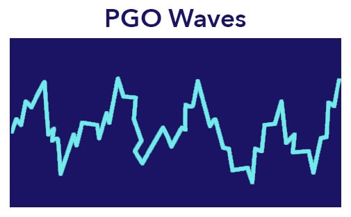 PGOWaves